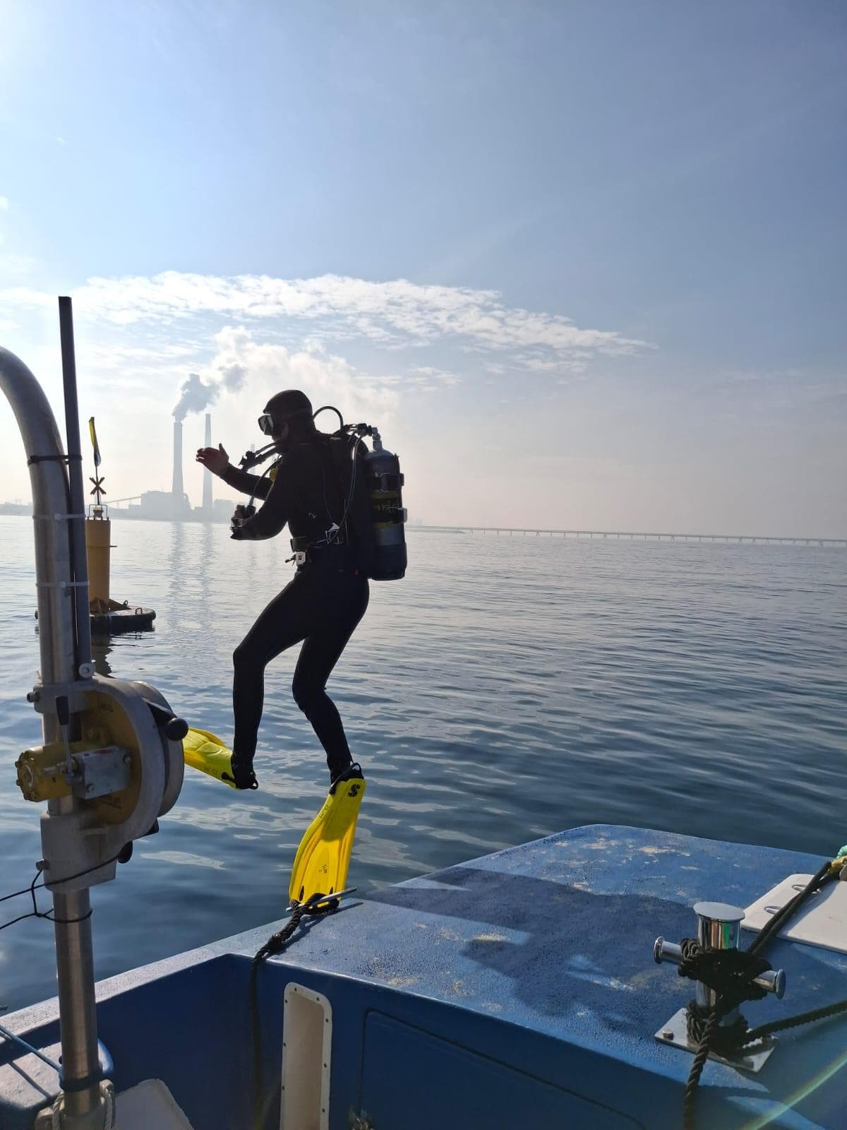 Marine life observation